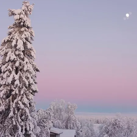 Golden Goose Maison d'hôtes Kittilä