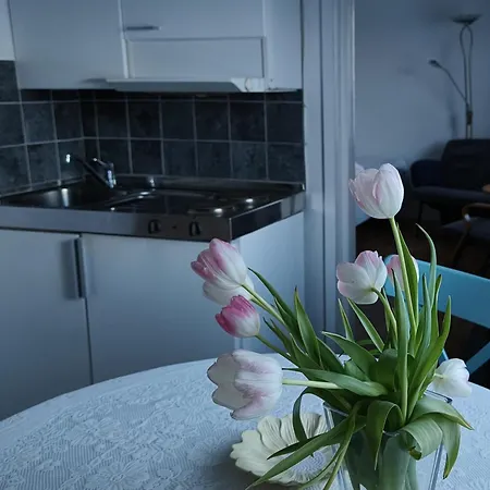 Golden Goose Maison d'hôtes