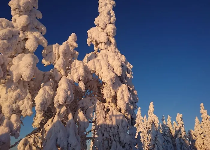 Golden Goose 3* Kittilä