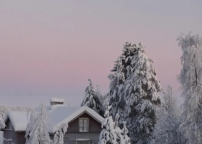 Golden Goose Maison d'hôtes 3*