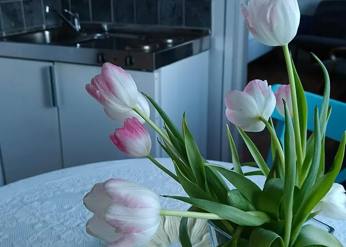 Golden Goose 3* Kittilä