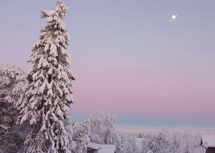 Golden Goose Maison d'hôtes Kittilä