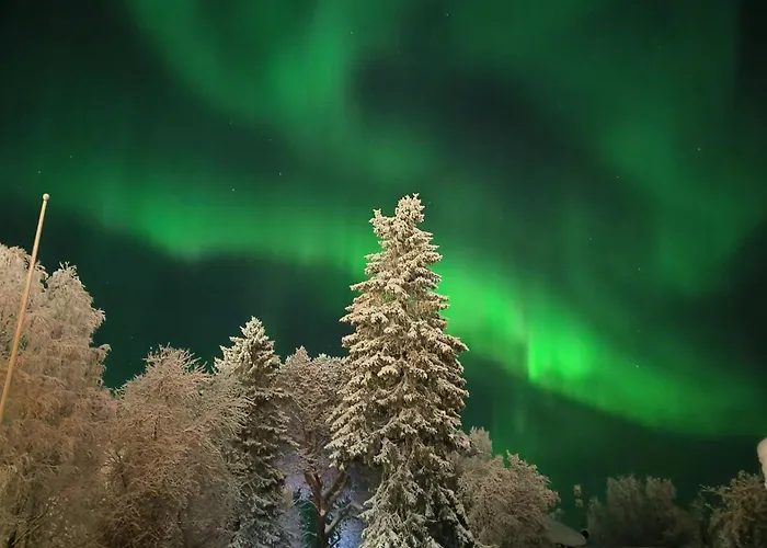 Maison d'hôtes Golden Goose