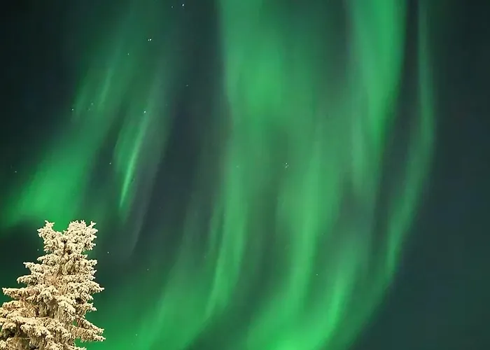 Maison d'hôtes Golden Goose Kittilä