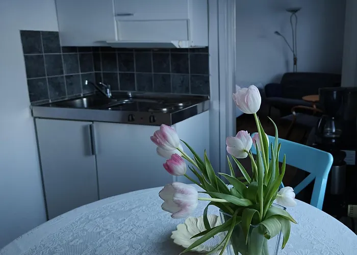 Golden Goose Maison d'hôtes