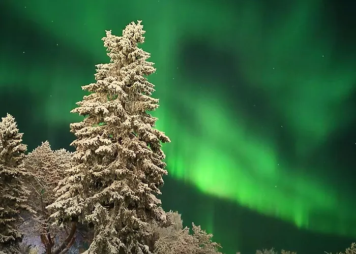 Golden Goose Maison d'hôtes 3*