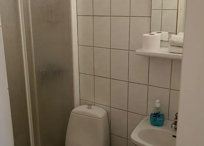 Maison d'hôtes Golden Goose Kittilä