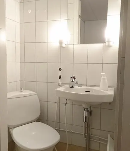 Maison d'hôtes Golden Goose Kittilä