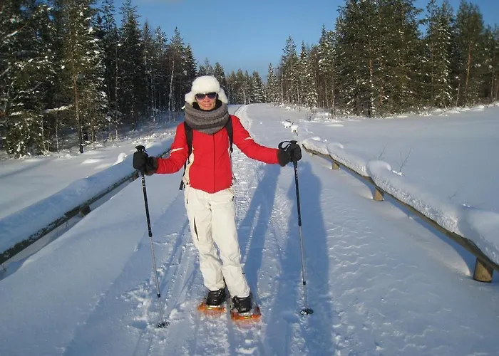 Maison d'hôtes Golden Goose Kittilä